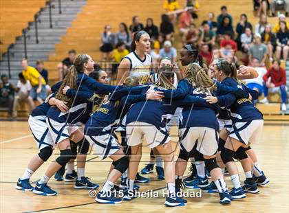 Thumbnail 2 in Sickles @ Steinbrenner photogallery.