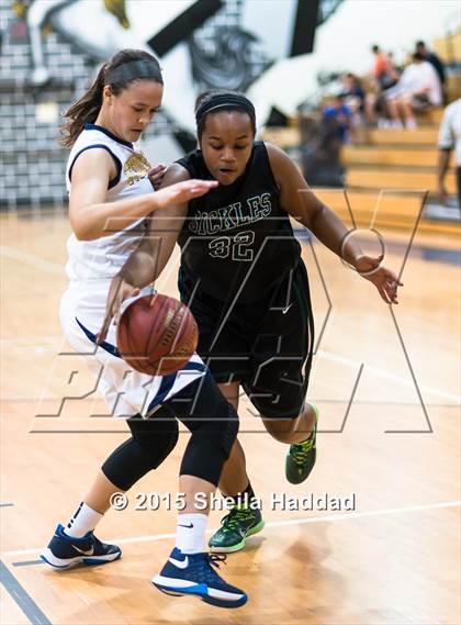 Thumbnail 3 in Sickles @ Steinbrenner photogallery.
