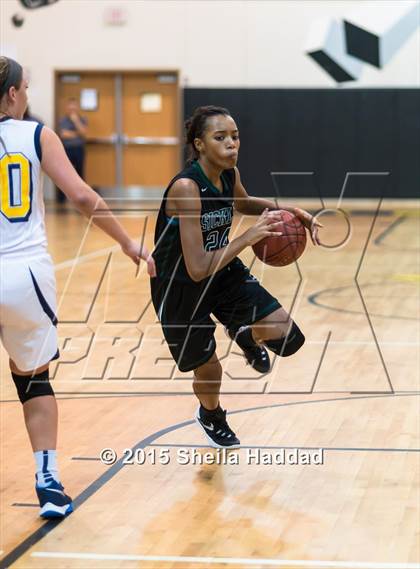 Thumbnail 2 in Sickles @ Steinbrenner photogallery.