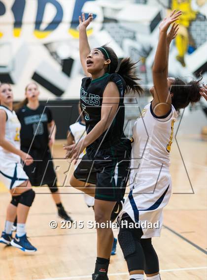 Thumbnail 2 in Sickles @ Steinbrenner photogallery.