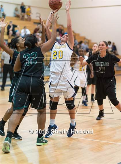 Thumbnail 3 in Sickles @ Steinbrenner photogallery.