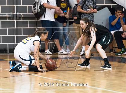 Thumbnail 1 in Sickles @ Steinbrenner photogallery.