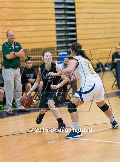 Thumbnail 2 in Sickles @ Steinbrenner photogallery.