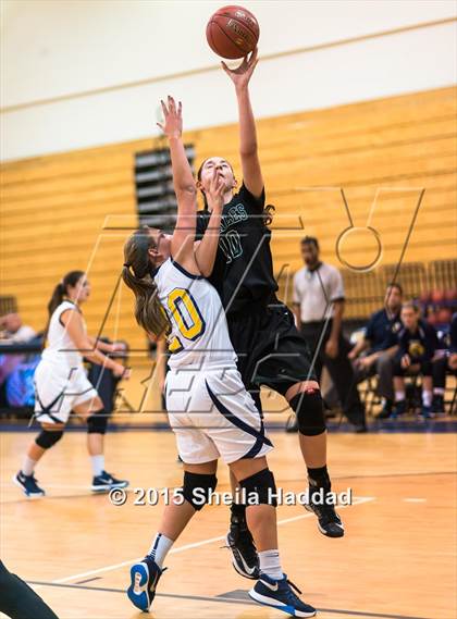 Thumbnail 3 in Sickles @ Steinbrenner photogallery.