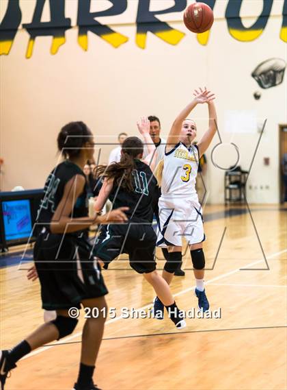 Thumbnail 2 in Sickles @ Steinbrenner photogallery.