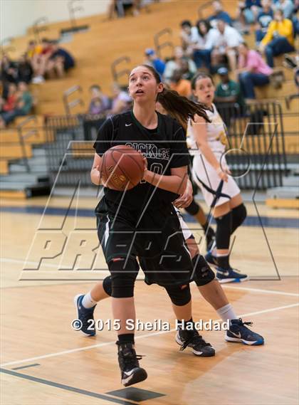 Thumbnail 3 in Sickles @ Steinbrenner photogallery.