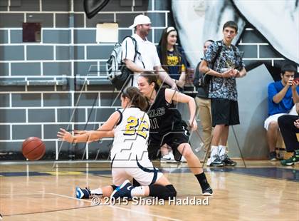 Thumbnail 2 in Sickles @ Steinbrenner photogallery.