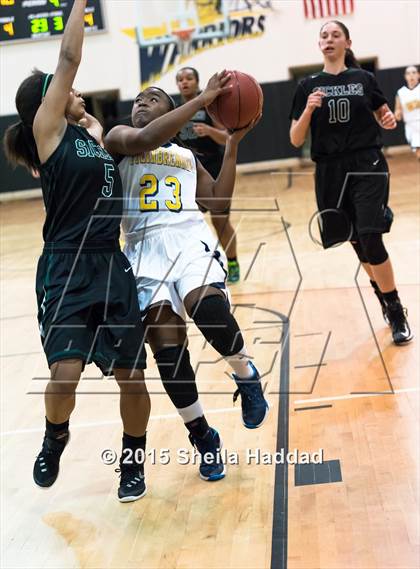 Thumbnail 3 in Sickles @ Steinbrenner photogallery.