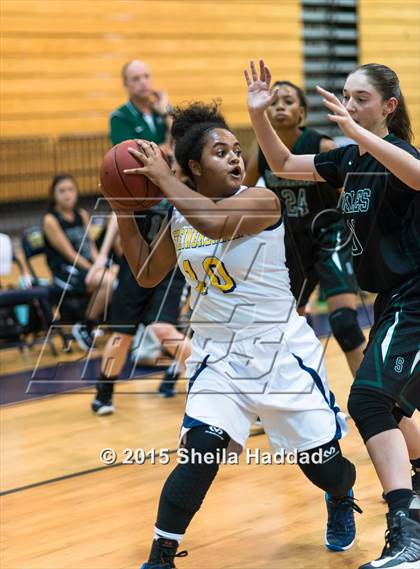 Thumbnail 1 in Sickles @ Steinbrenner photogallery.