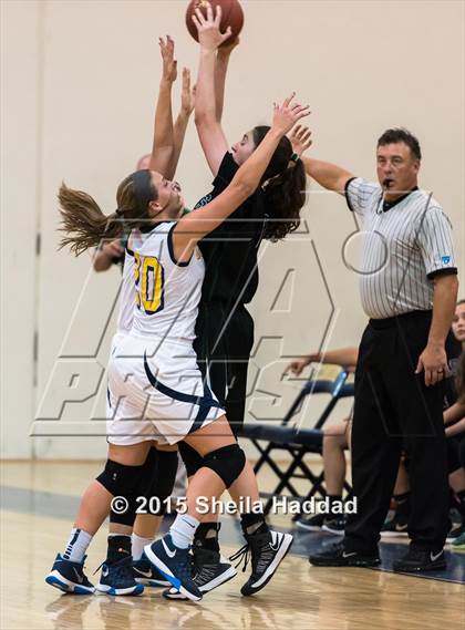 Thumbnail 2 in Sickles @ Steinbrenner photogallery.