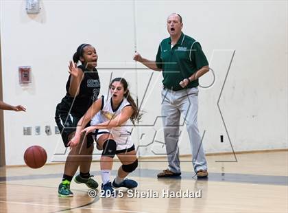 Thumbnail 3 in Sickles @ Steinbrenner photogallery.