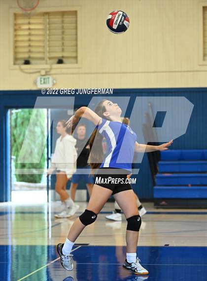 Thumbnail 2 in FR: Archie Williams @ Tamalpais photogallery.