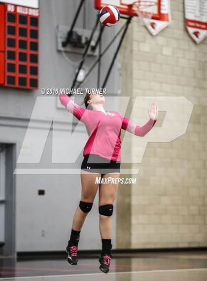 Thumbnail 1 in Chico @ Foothill photogallery.