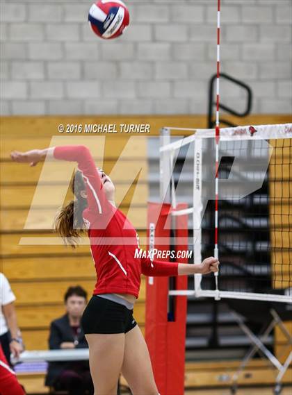 Thumbnail 1 in Chico @ Foothill photogallery.
