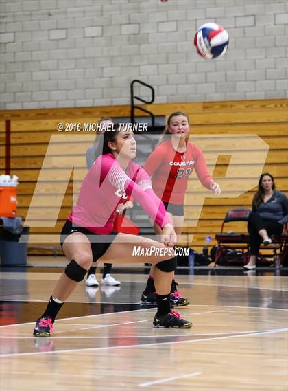 Thumbnail 3 in Chico @ Foothill photogallery.