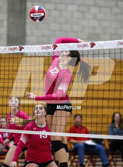 Thumbnail 1 in Chico @ Foothill photogallery.