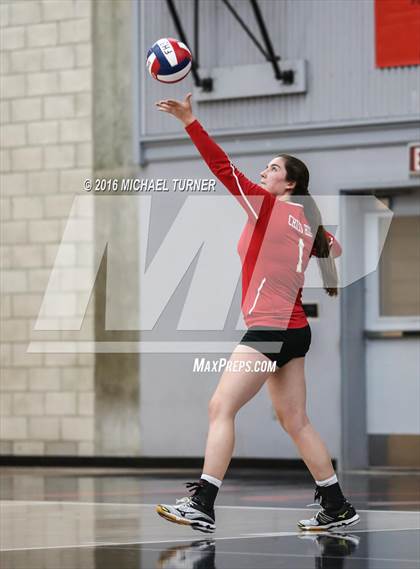 Thumbnail 1 in Chico @ Foothill photogallery.