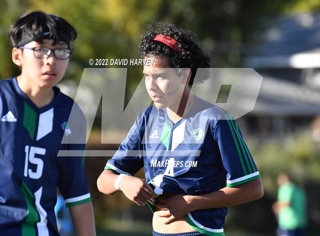null - Photo 41
