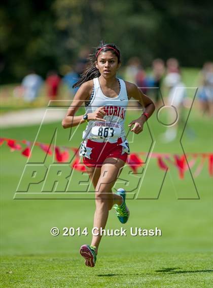 Thumbnail 3 in Stanford Invitational Girls 5K Seeded Race photogallery.