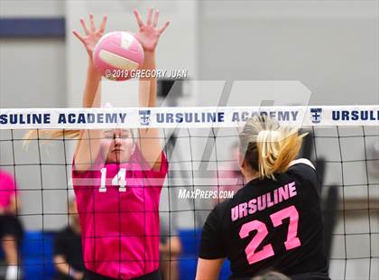 Thumbnail 3 in Academy of the Sacred Heart @ Ursuline Academy photogallery.