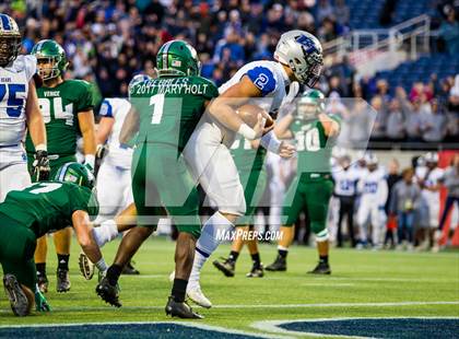 Thumbnail 1 in Bartram Trail vs. Venice (FHSAA Class 7A Final) photogallery.
