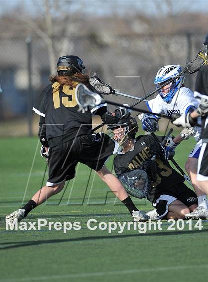 Thumbnail 3 in Palmer @ Highlands Ranch photogallery.