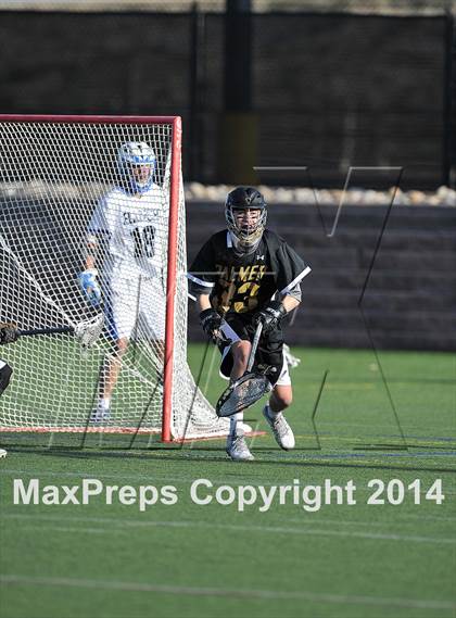 Thumbnail 1 in Palmer @ Highlands Ranch photogallery.
