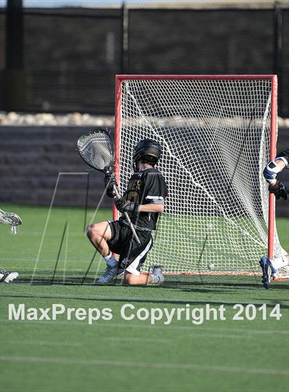 Thumbnail 3 in Palmer @ Highlands Ranch photogallery.