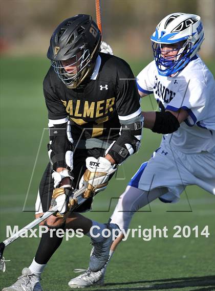Thumbnail 1 in Palmer @ Highlands Ranch photogallery.