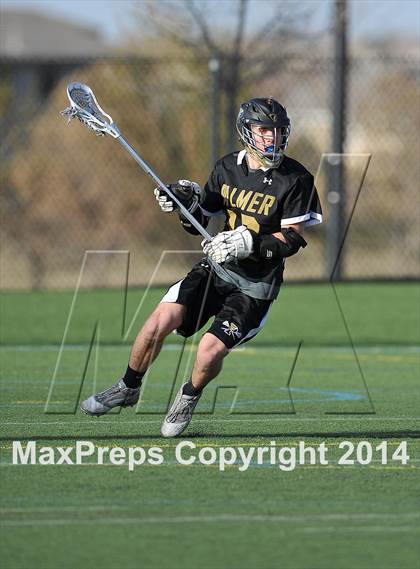 Thumbnail 2 in Palmer @ Highlands Ranch photogallery.