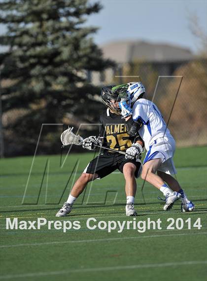 Thumbnail 3 in Palmer @ Highlands Ranch photogallery.