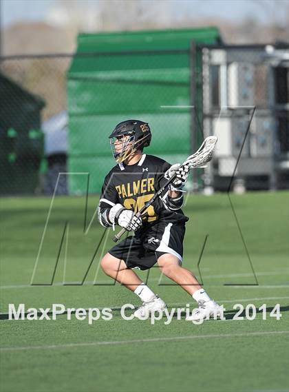Thumbnail 1 in Palmer @ Highlands Ranch photogallery.