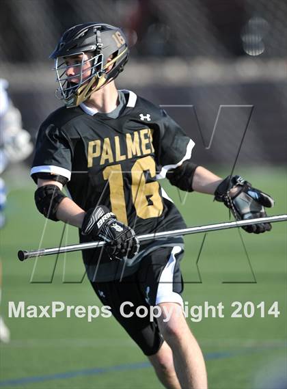 Thumbnail 1 in Palmer @ Highlands Ranch photogallery.