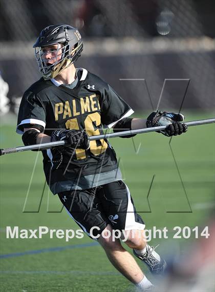 Thumbnail 3 in Palmer @ Highlands Ranch photogallery.