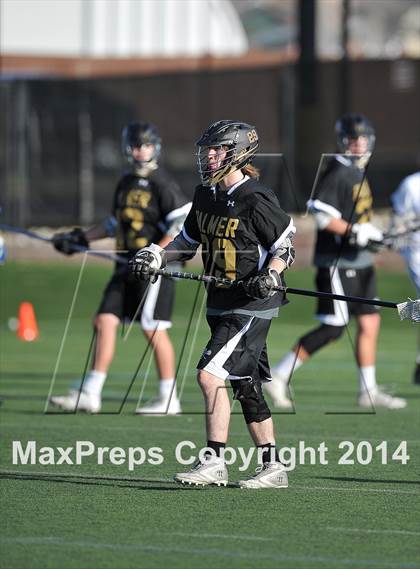Thumbnail 3 in Palmer @ Highlands Ranch photogallery.