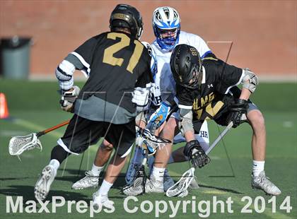 Thumbnail 3 in Palmer @ Highlands Ranch photogallery.