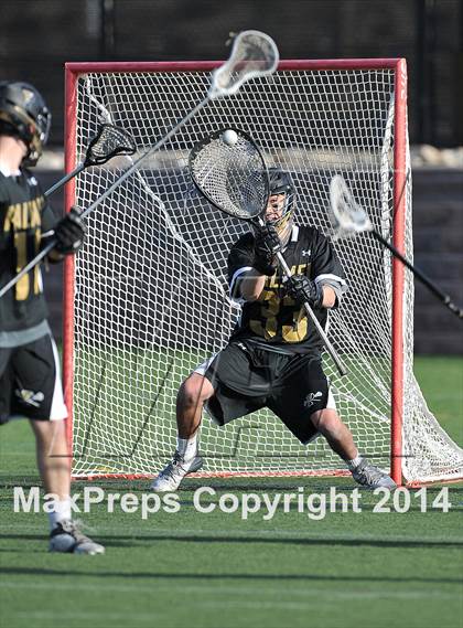 Thumbnail 3 in Palmer @ Highlands Ranch photogallery.