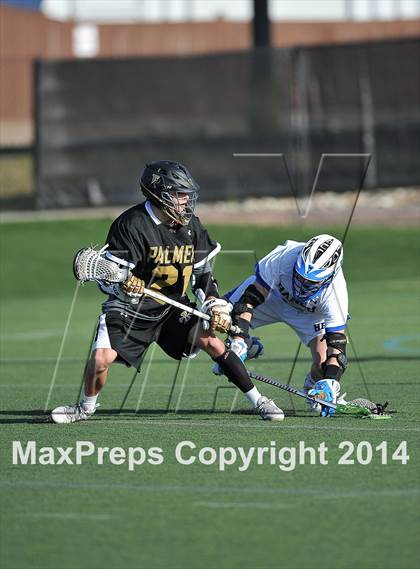 Thumbnail 1 in Palmer @ Highlands Ranch photogallery.