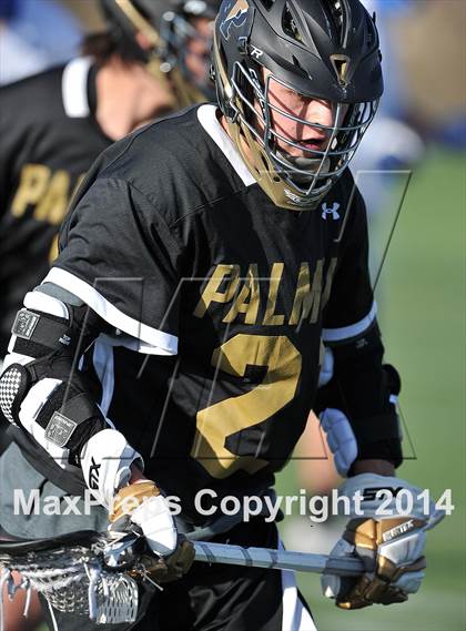 Thumbnail 3 in Palmer @ Highlands Ranch photogallery.