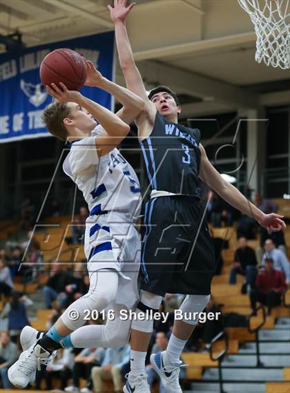 Thumbnail 3 in Wilton @ Ludlowe photogallery.