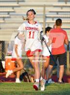 Photo from the gallery "West Shore @ Satellite"