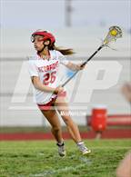 Photo from the gallery "West Shore @ Satellite"