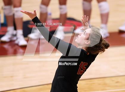 Thumbnail 1 in Sequoyah @ Lassiter photogallery.