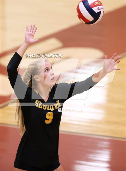 Thumbnail 1 in Sequoyah @ Lassiter photogallery.