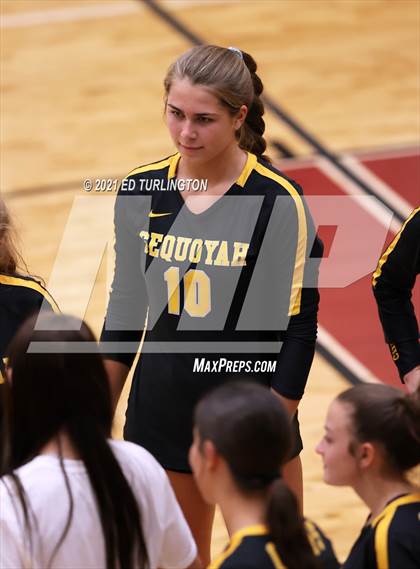 Thumbnail 1 in Sequoyah @ Lassiter photogallery.