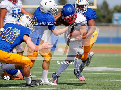 Thumbnail 2 in Los Alamitos @ Fountain Valley photogallery.