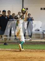 Photo from the gallery "Plant City @ Sumner"