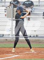 Photo from the gallery "Plant City @ Sumner"