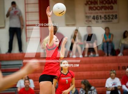 Thumbnail 1 in Dixie Hollins @ Clearwater photogallery.
