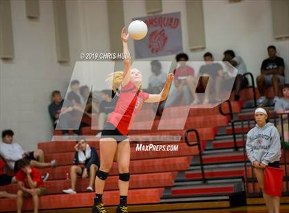 Thumbnail 3 in Dixie Hollins @ Clearwater photogallery.